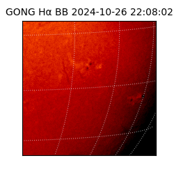 gong - 2024-10-26T22:08:02