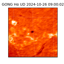 gong - 2024-10-26T09:00:02