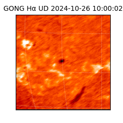 gong - 2024-10-26T10:00:02