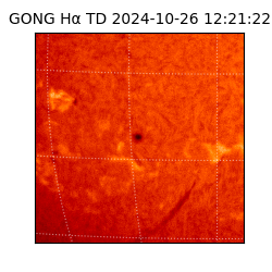 gong - 2024-10-26T12:21:22