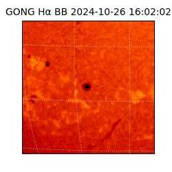 gong - 2024-10-26T16:02:02