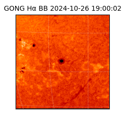 gong - 2024-10-26T19:00:02