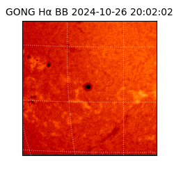 gong - 2024-10-26T20:02:02