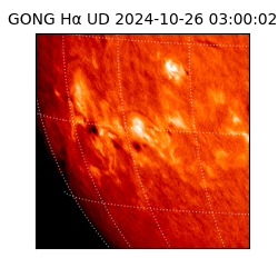 gong - 2024-10-26T03:00:02