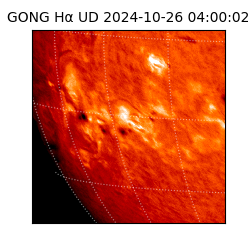 gong - 2024-10-26T04:00:02