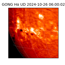 gong - 2024-10-26T06:00:02
