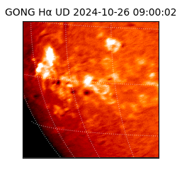 gong - 2024-10-26T09:00:02