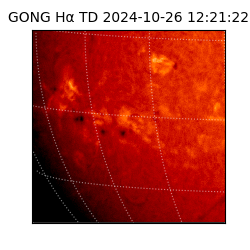 gong - 2024-10-26T12:21:22