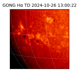 gong - 2024-10-26T13:00:22