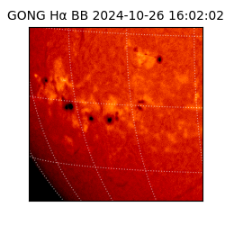 gong - 2024-10-26T16:02:02