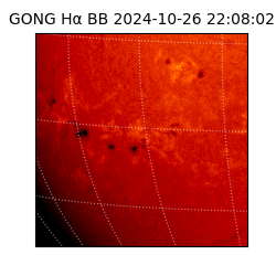 gong - 2024-10-26T22:08:02