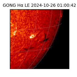 gong - 2024-10-26T01:00:42