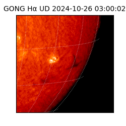 gong - 2024-10-26T03:00:02