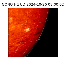 gong - 2024-10-26T08:00:02