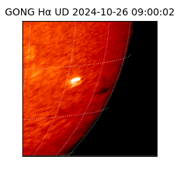 gong - 2024-10-26T09:00:02