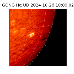 gong - 2024-10-26T10:00:02