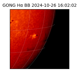 gong - 2024-10-26T16:02:02