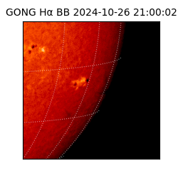 gong - 2024-10-26T21:00:02