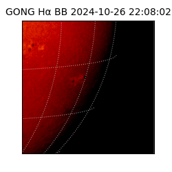 gong - 2024-10-26T22:08:02