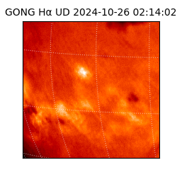 gong - 2024-10-26T02:14:02