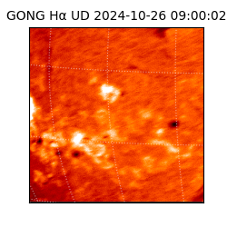 gong - 2024-10-26T09:00:02