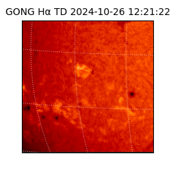 gong - 2024-10-26T12:21:22