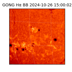 gong - 2024-10-26T15:00:02
