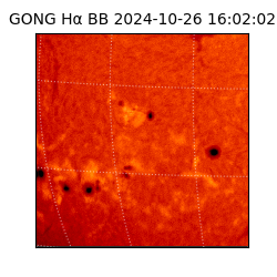 gong - 2024-10-26T16:02:02