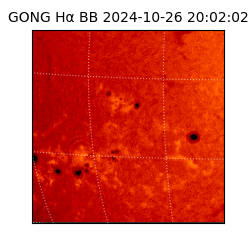 gong - 2024-10-26T20:02:02