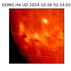 gong - 2024-10-26T02:14:02