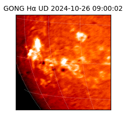 gong - 2024-10-26T09:00:02