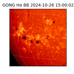 gong - 2024-10-26T15:00:02