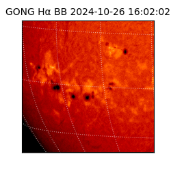 gong - 2024-10-26T16:02:02