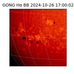 gong - 2024-10-26T17:00:02