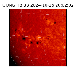 gong - 2024-10-26T20:02:02