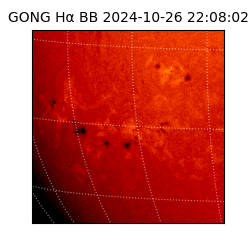 gong - 2024-10-26T22:08:02