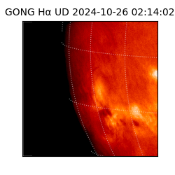 gong - 2024-10-26T02:14:02