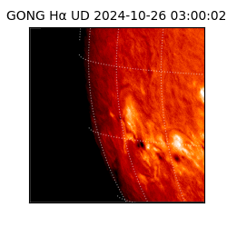 gong - 2024-10-26T03:00:02