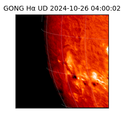 gong - 2024-10-26T04:00:02