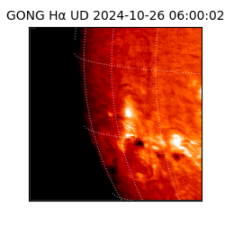 gong - 2024-10-26T06:00:02