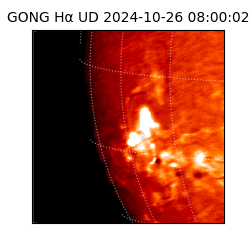 gong - 2024-10-26T08:00:02