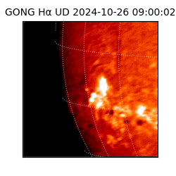 gong - 2024-10-26T09:00:02