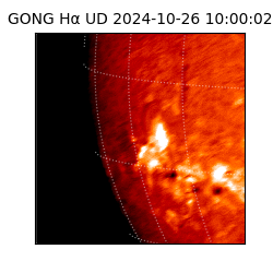 gong - 2024-10-26T10:00:02