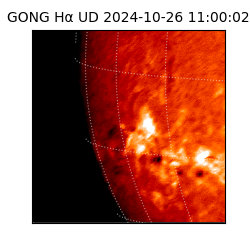 gong - 2024-10-26T11:00:02