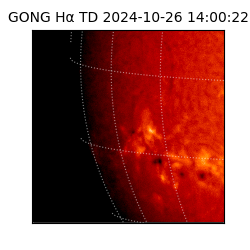 gong - 2024-10-26T14:00:22