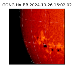 gong - 2024-10-26T16:02:02