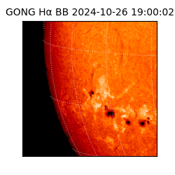 gong - 2024-10-26T19:00:02