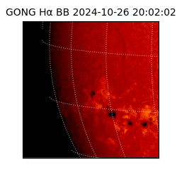 gong - 2024-10-26T20:02:02