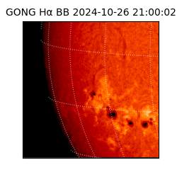 gong - 2024-10-26T21:00:02