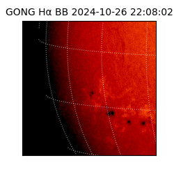 gong - 2024-10-26T22:08:02
